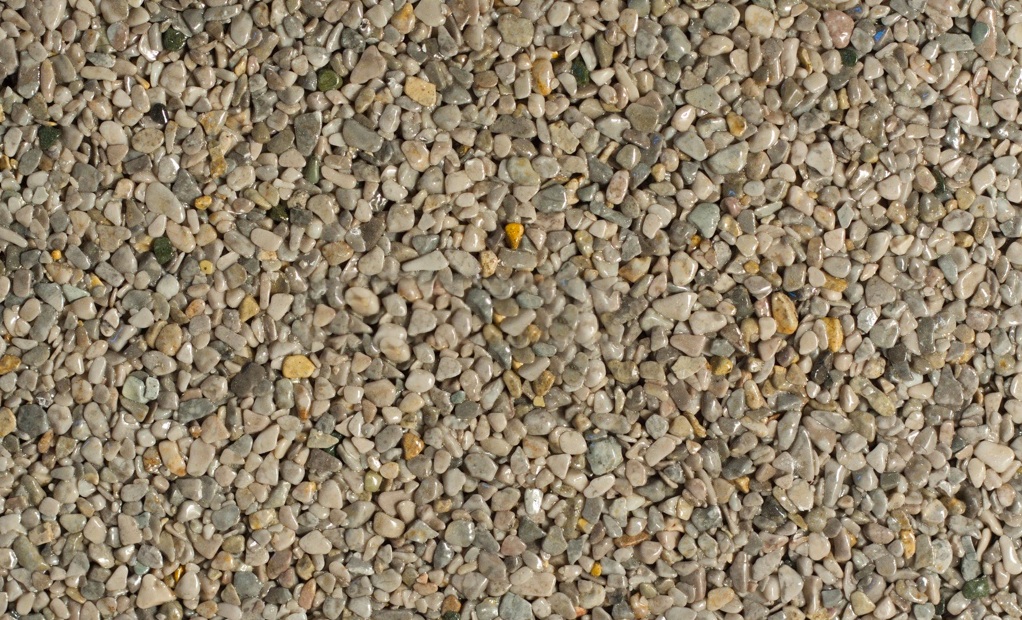 Grigio Occhialino 2